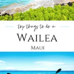The best things to do in Wailea, Maui range from free beaches to fun tours. Here are my top picks for your vacation or day trip!