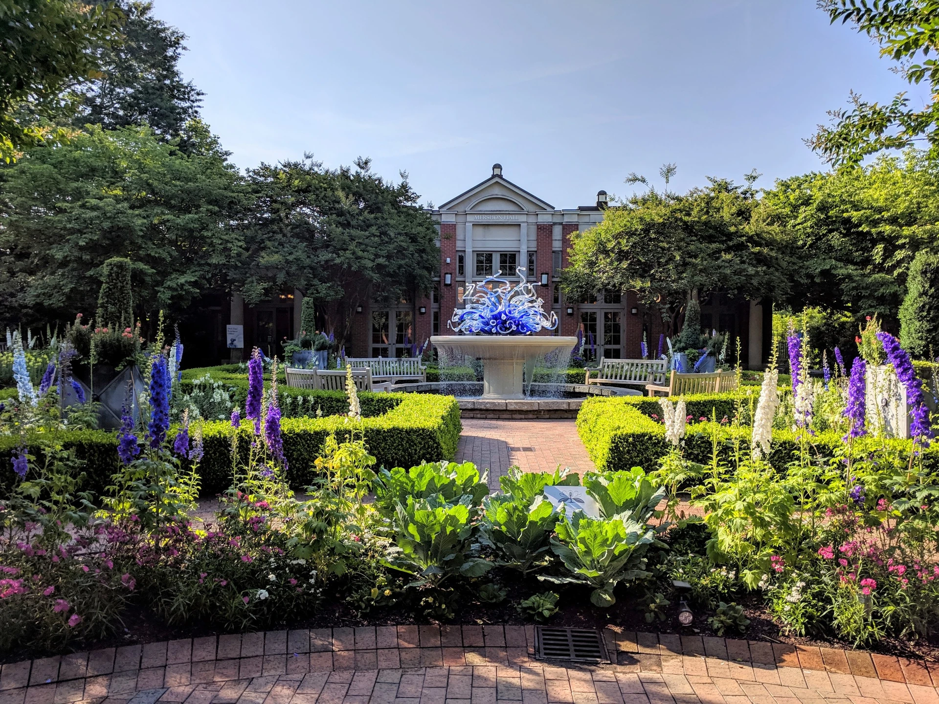 Flowers in bloom at Atlanta Botanical Gardens.