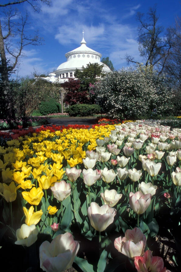 Tulip beds line the walkways in front of the Reptile House in spring at the Cincinnati Zoo.
