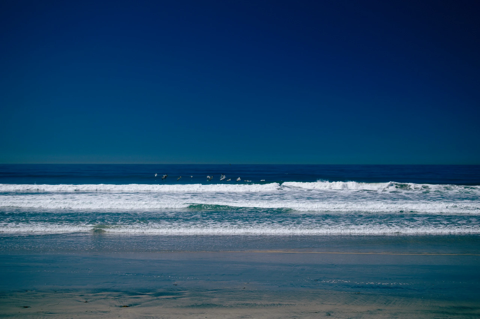 Surfers in the water at Black's Beach San Diego.