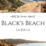 Black's Beach in La Jolla is far more nuanced than most visitors realize. You're about to learn what sets this San Diego beach apart.
