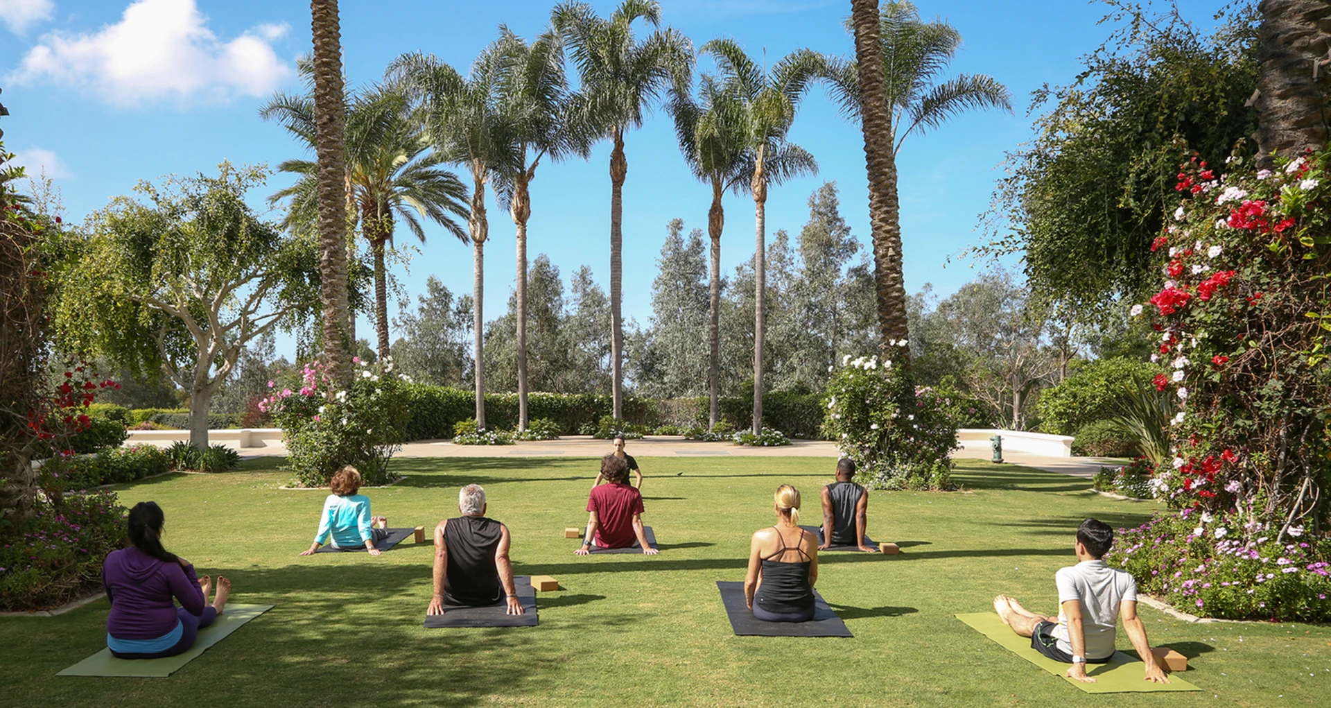 A group of guests enjoy an outdoor yoga class.