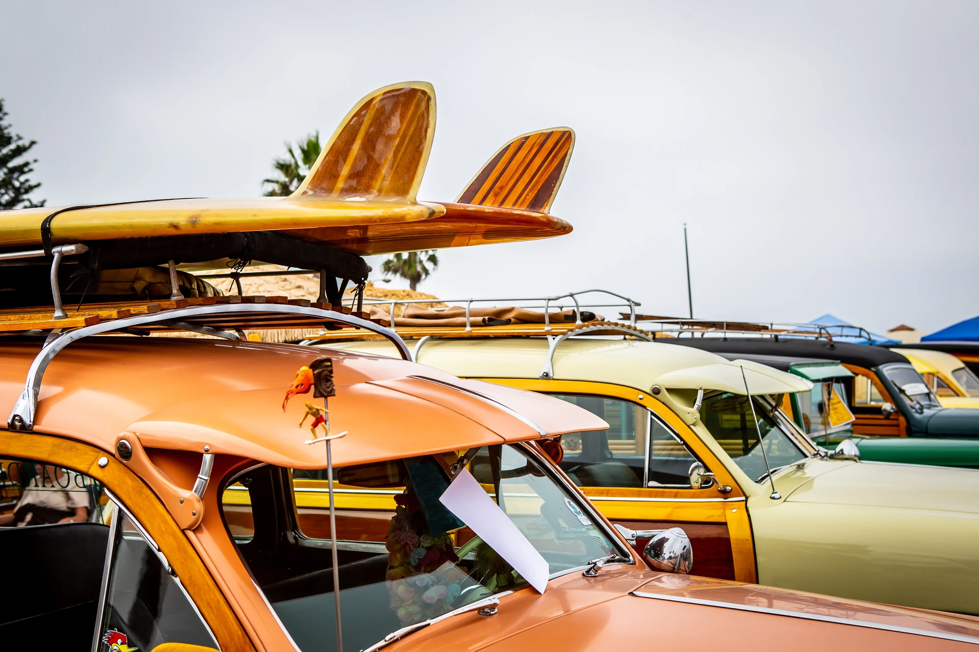 Woodies lined up next to each other at Moonlight State Beach.