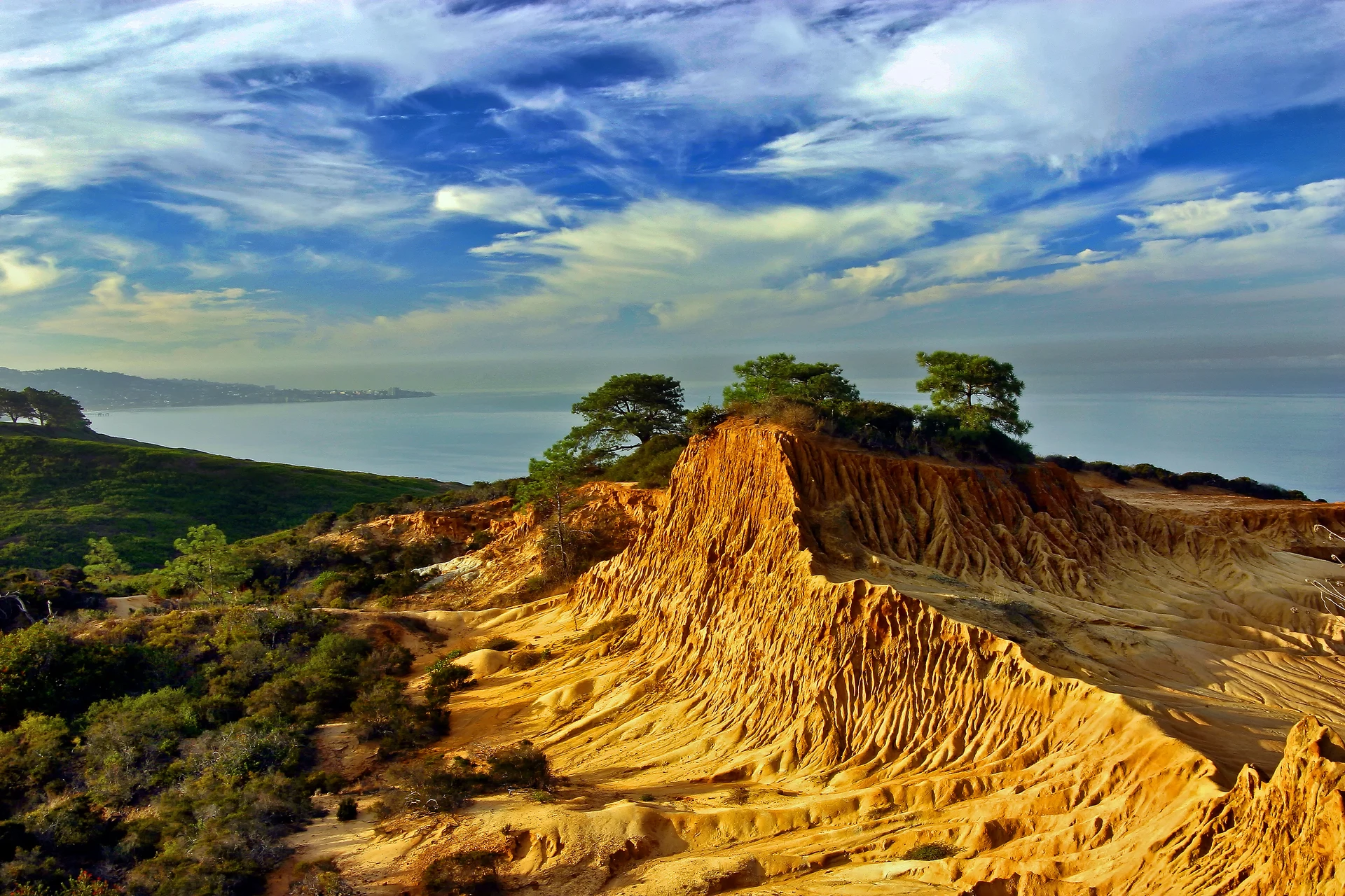 Broken Hill topped with Torrey pine trees against the Pacific Ocean.