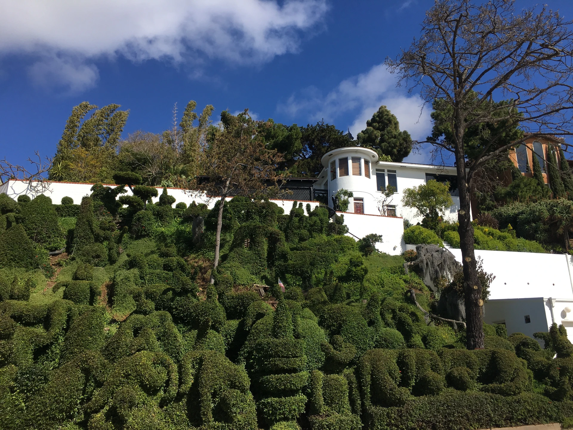 Front view of the green, ornate topiaries.