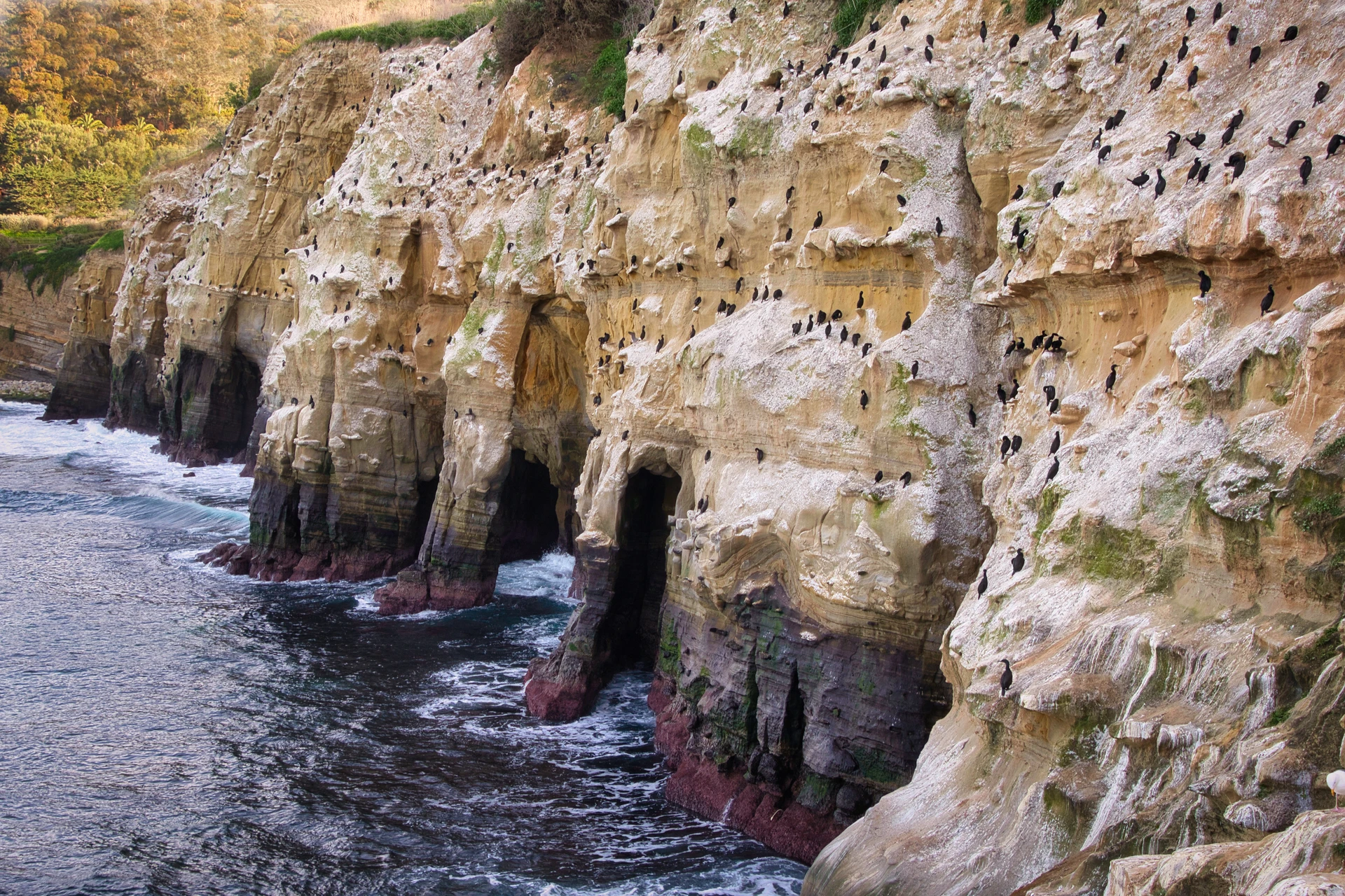 Aerial view of the La Jolla sea caves