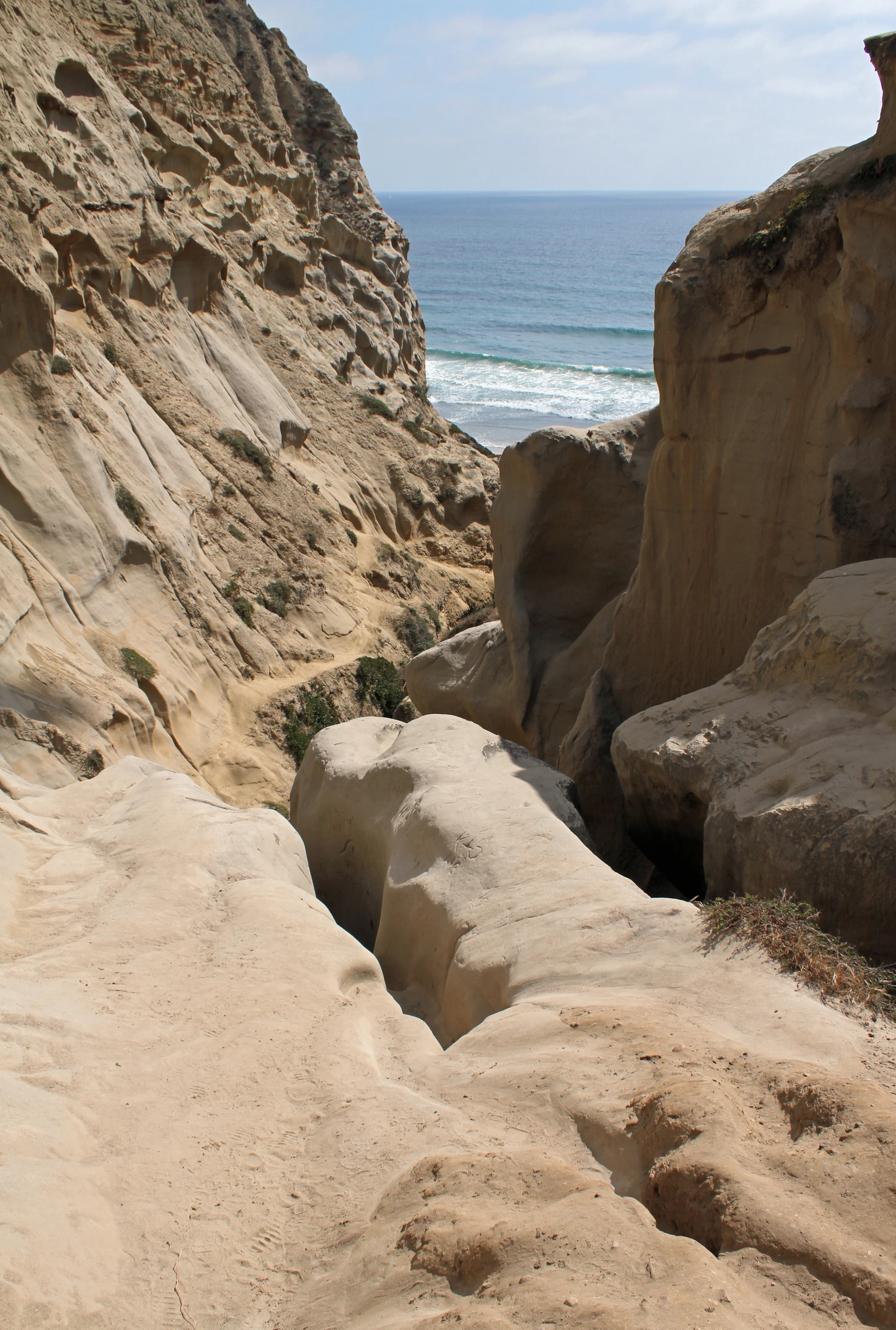 The secret Ho Chi Minh trail in San Diego, California, leading down to Black's Beach