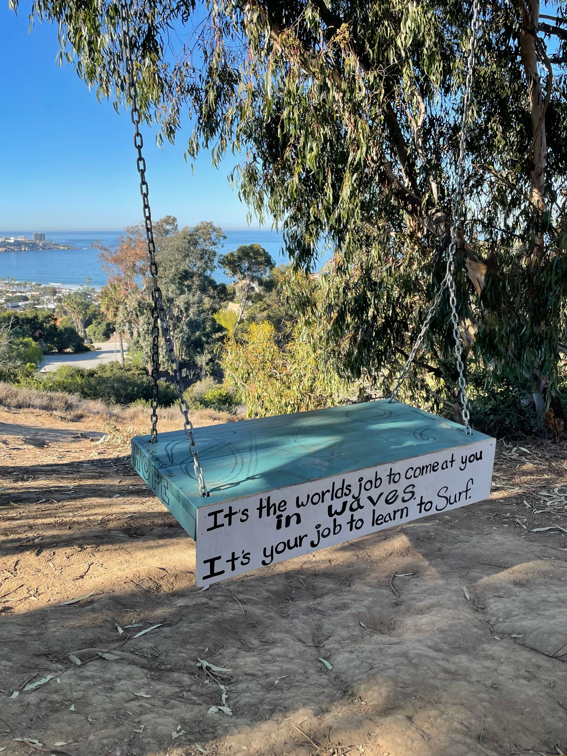 One of the La Jolla secret swings with the ocean in the background.
