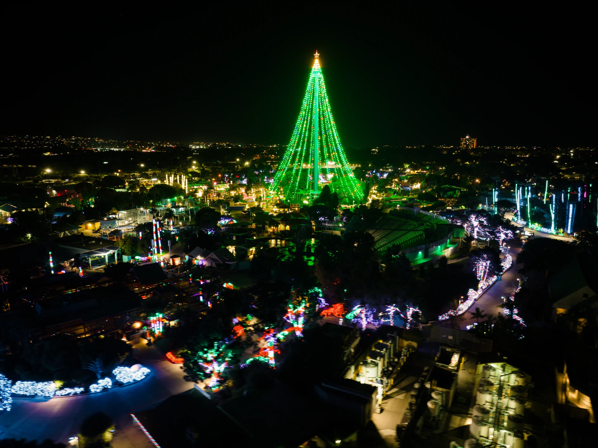 Tall Christmas Tree Lighting at Seaworld San Diego