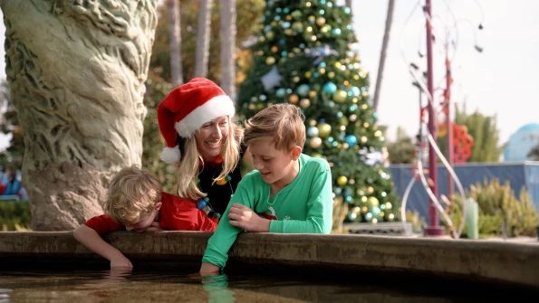 Mom ang two kids touch pool water
