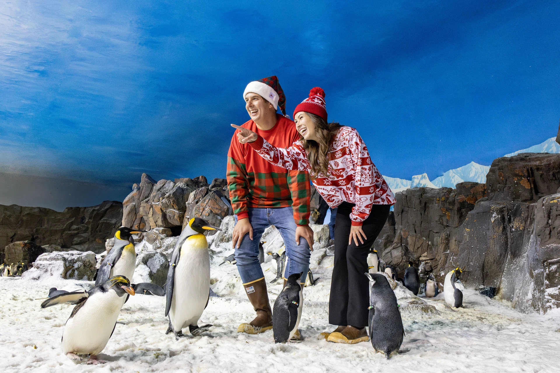 Man and woman with penguins in Seaworld San Diego
