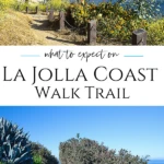Learn how to take the La Jolla Coast Walk Trail and why it's one of my neighborhood's family-friendly hidden gems.