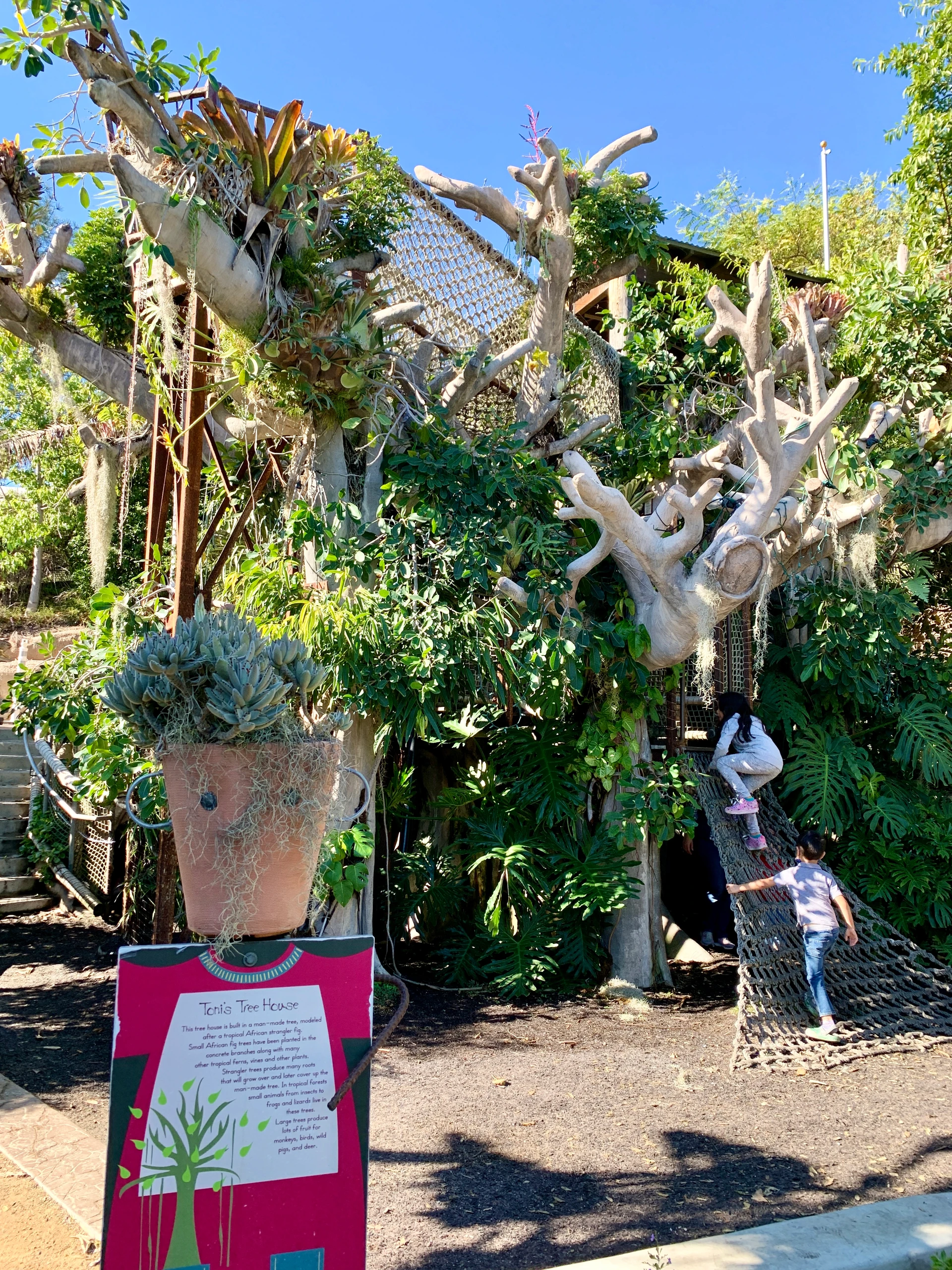 Children climb up the treehouse at San Diego Botanic Garden.