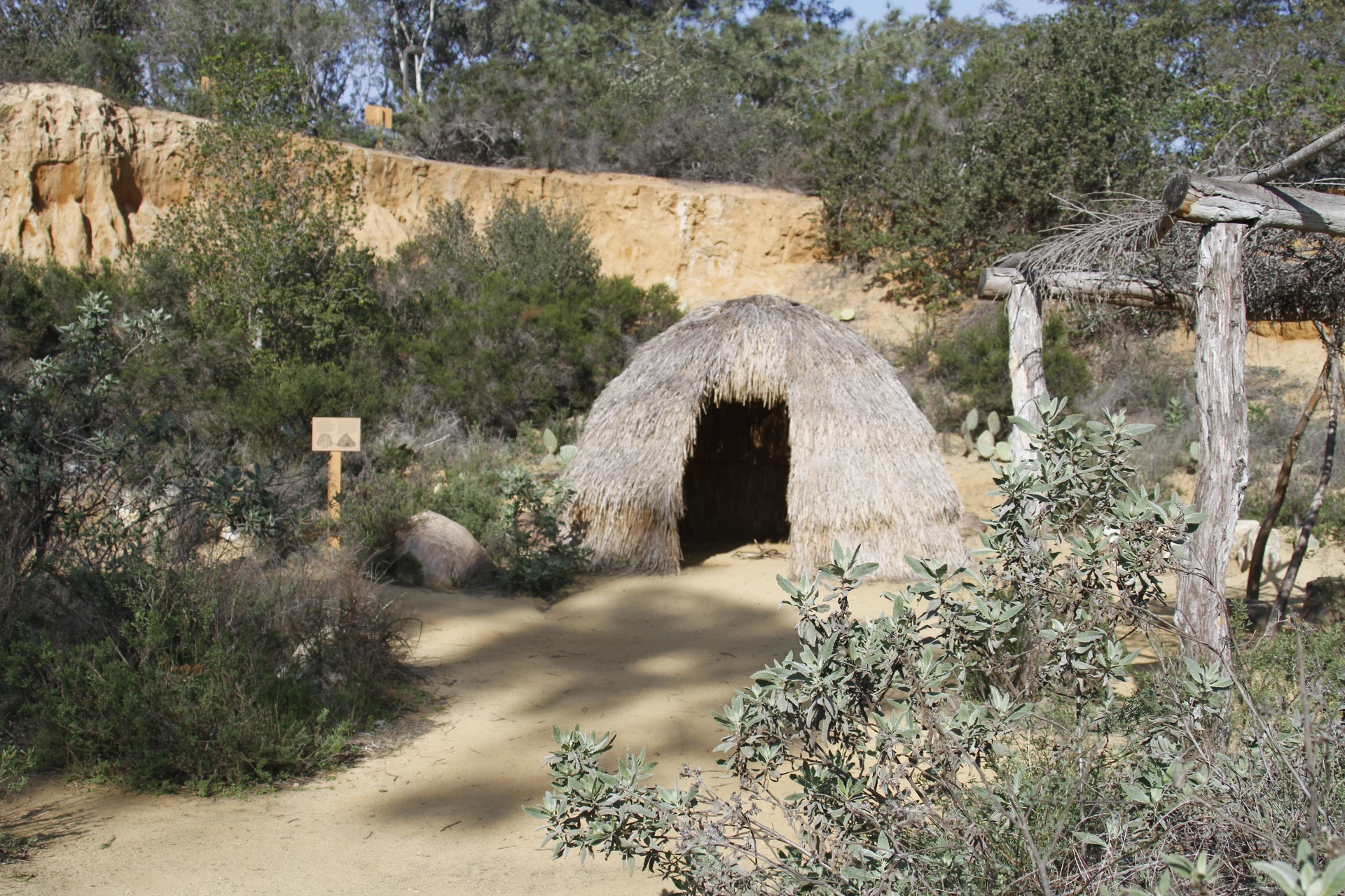 Native plants surround a Kumeyaay structure replica.