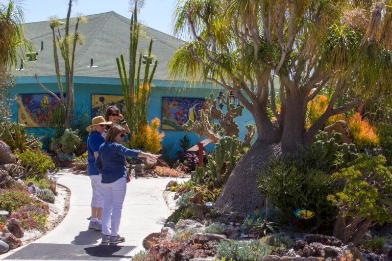 Guest admire the Undersea Succulent display at San Diego Botanic Garden.