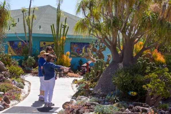 Guest admire the Undersea Succulent display at San Diego Botanic Garden.
