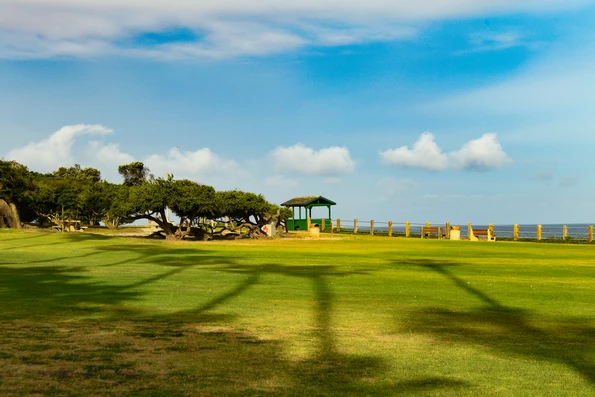 Empty Ellen Browning Scripps Park in La Jolla.