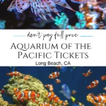 Learn how to buy discount Aquarium of the Pacific tickets to save big on this popular Long Beach, CA attraction.
