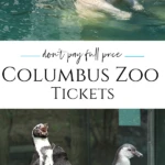 Reliable methods for saving money on Columbus Zoo tickets, so you don't waste time on coupons and promo codes that don't work.