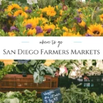 A list of the best Farmers Markets in San Diego by day of the week and tips for what to expect.