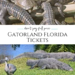 Learn how to find the best price on Gatorland tickets and what to expect inside this FL theme park with its reptiles, up-close encounters, more.