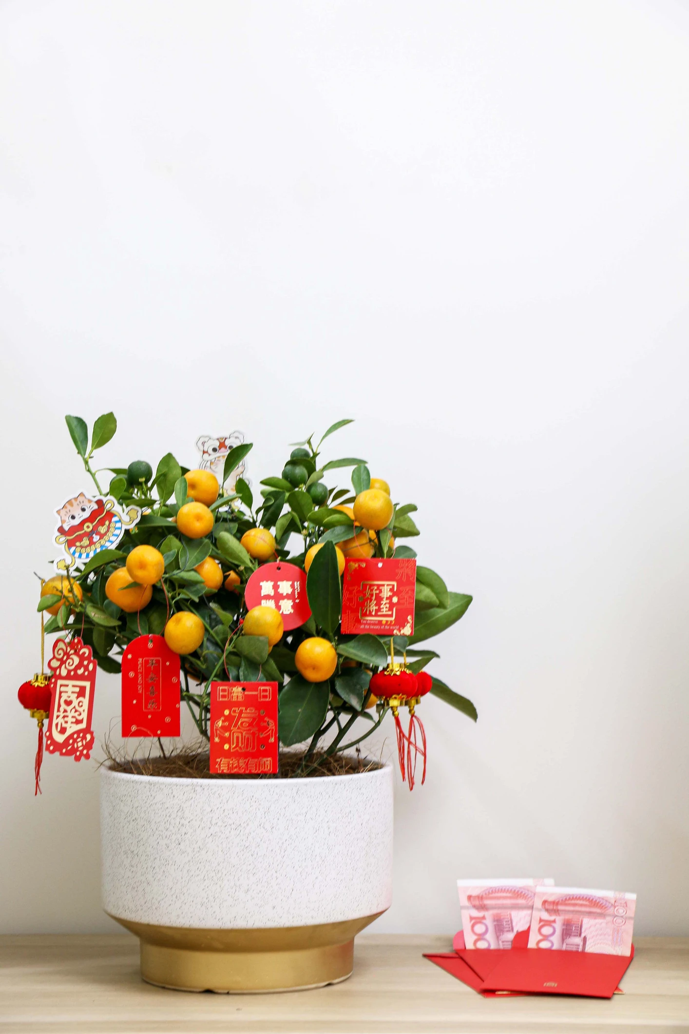 Small orange tree for Chinese New Year on a table next to some RMB in a red envelope.