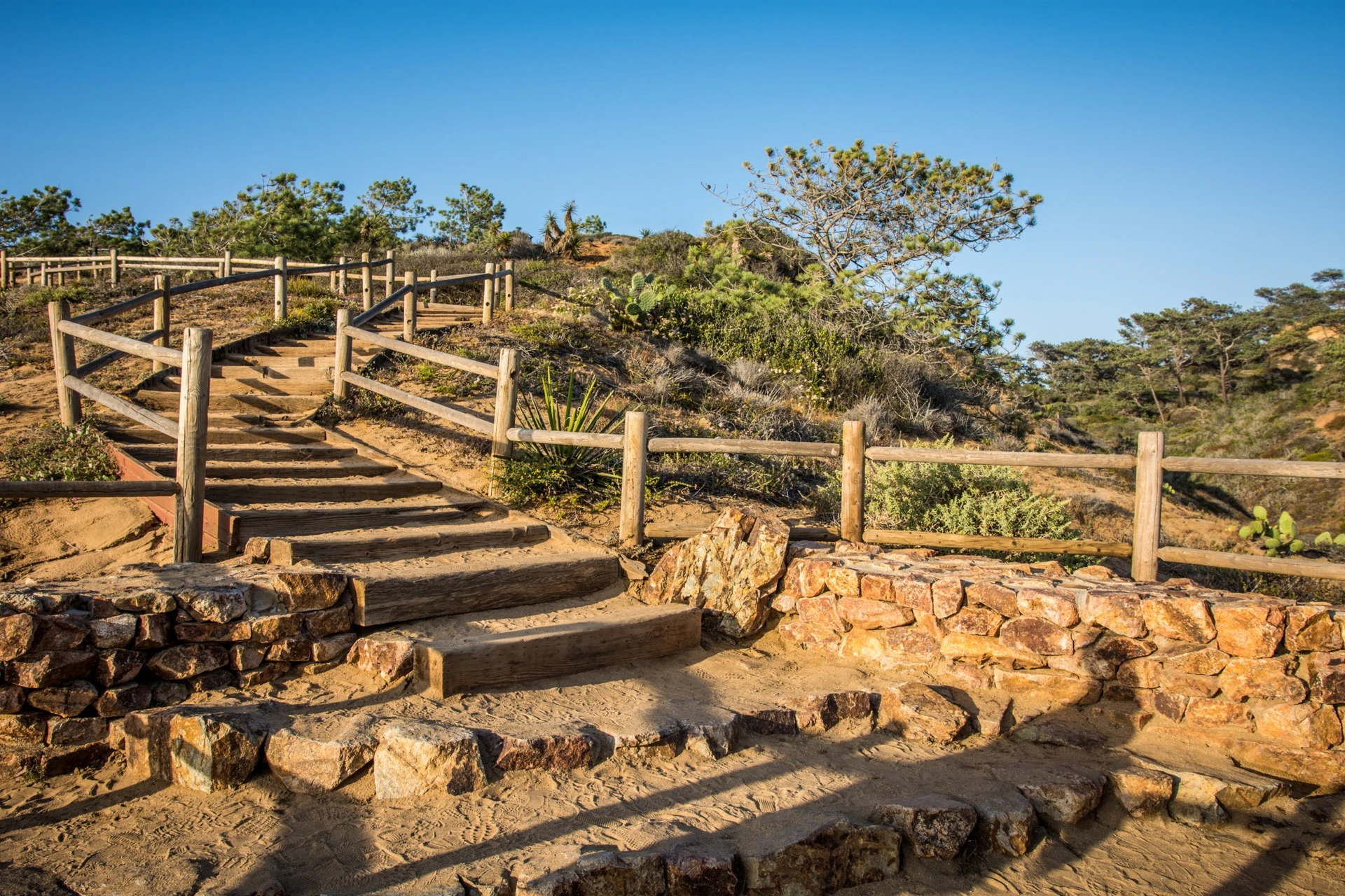 The Mar Scenic Trail in the Torrey Pines State Natural Reserve Extension.