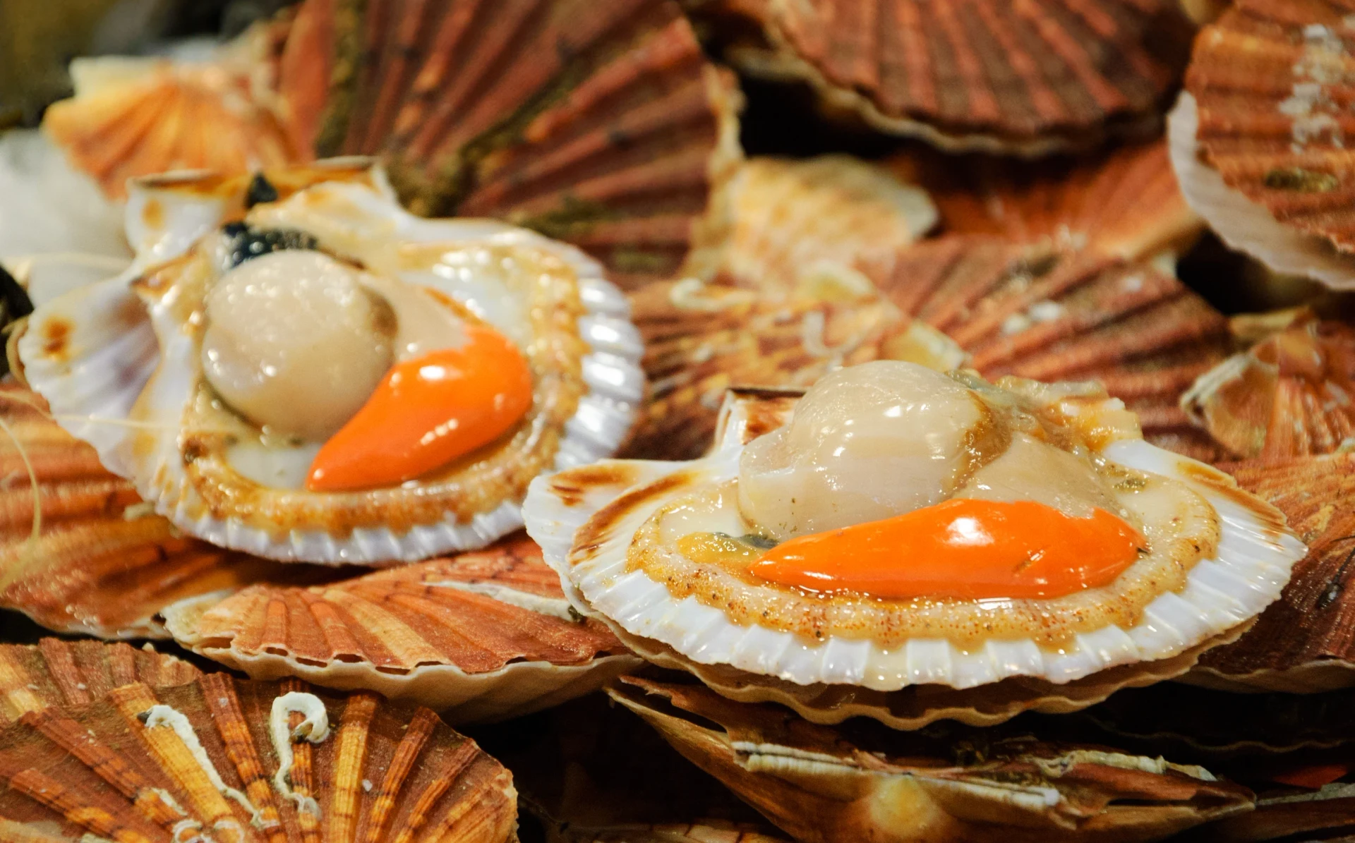 Opened fresh scallops on display at Enfant Rouges Food Market in Paris