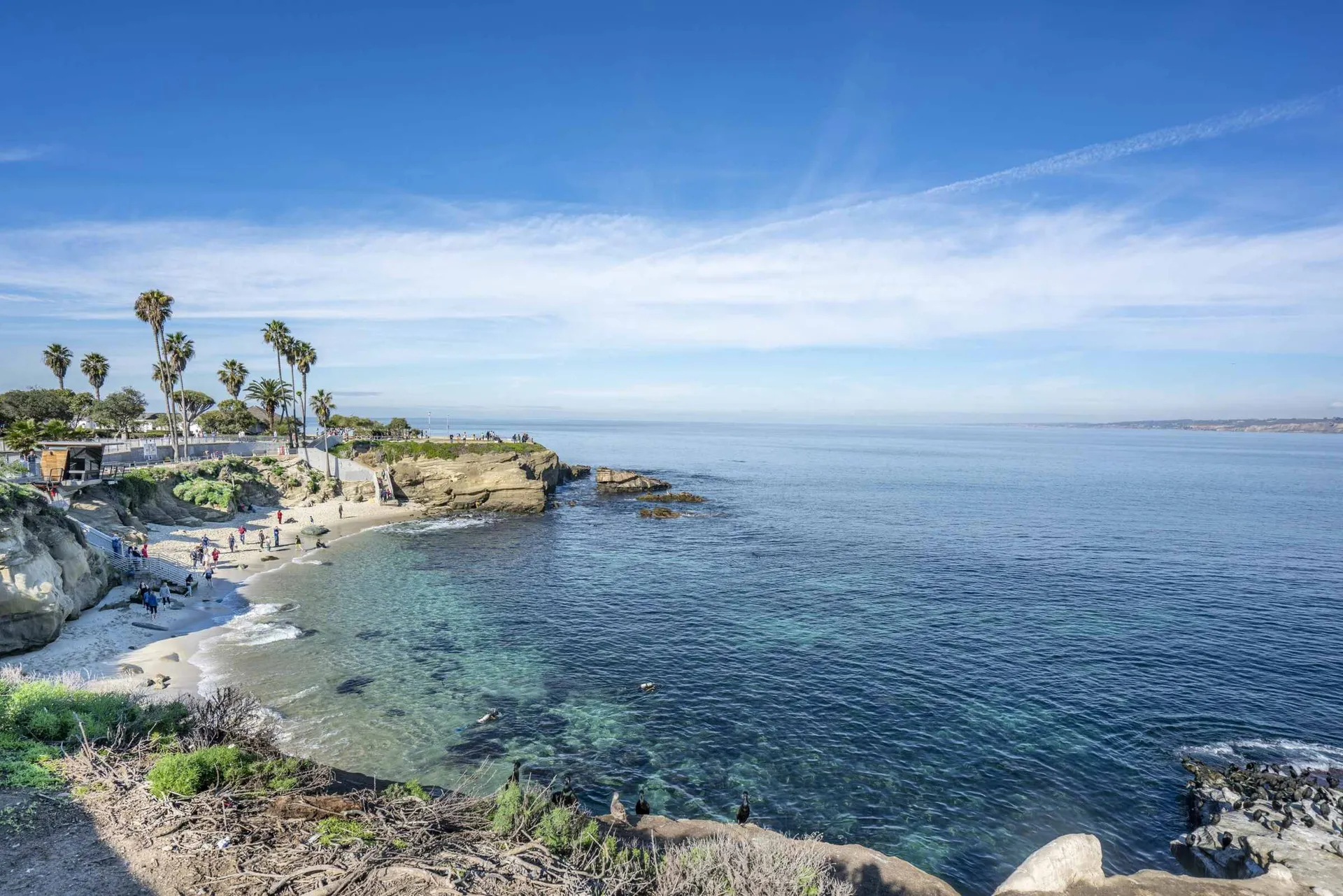 La Jolla Cove