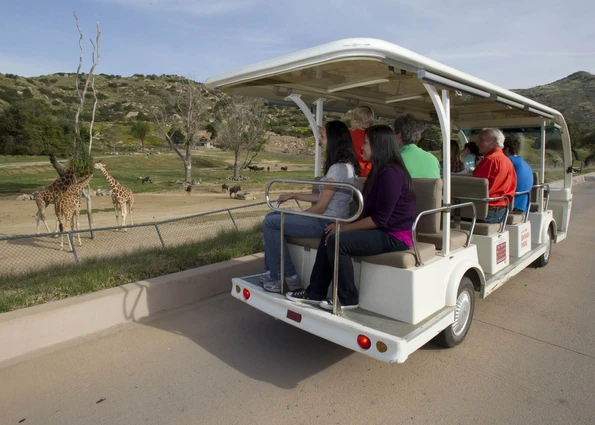 Cart Safari at San Diego Zoo Safari Park
