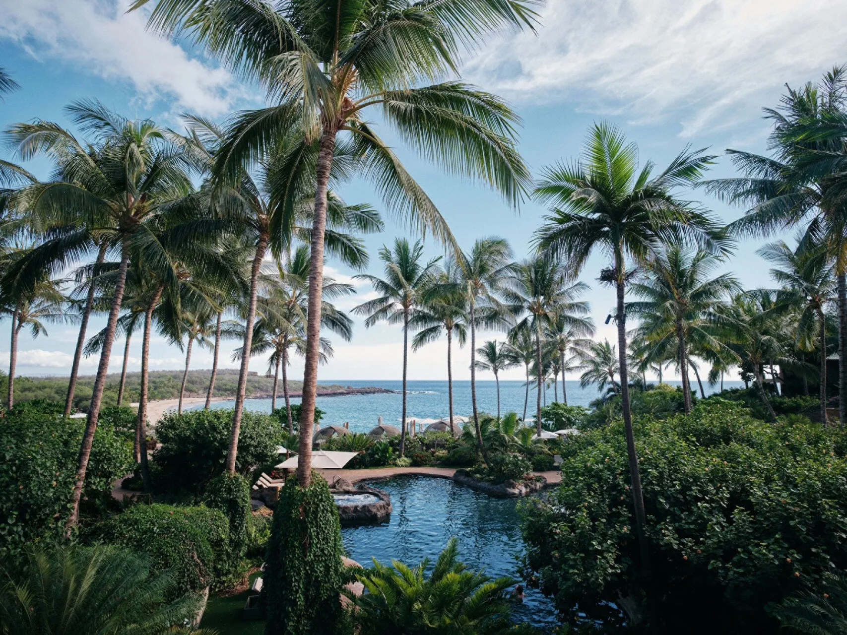 View of the pool and palm trees out to the beach at Four Seasons Lanai.