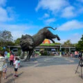 A tripod and camera set up in front of the San Diego Zoo entrance.
