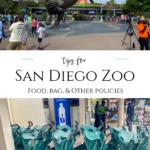 Here’s a guide on the San Diego Zoo food policy, bag rules, pet restrictions, and camera tips. Know what you can bring and how to make the most of your visit!