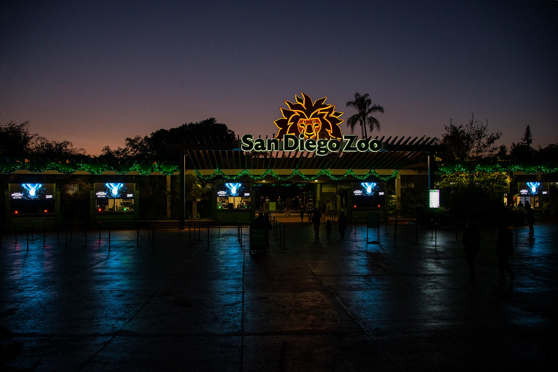 The San Diego Zoo entrance lite up at night, decorated in holiday lights for Jungle Bells.