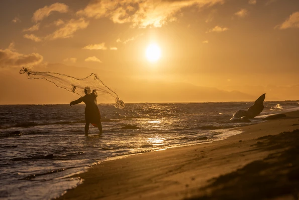 a man fishing during sunset in the beach