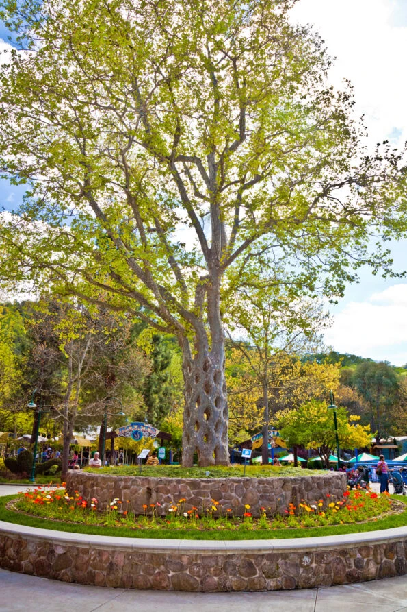 Decorative basket tree sculpture at Gilroy Gardens Family Theme Park