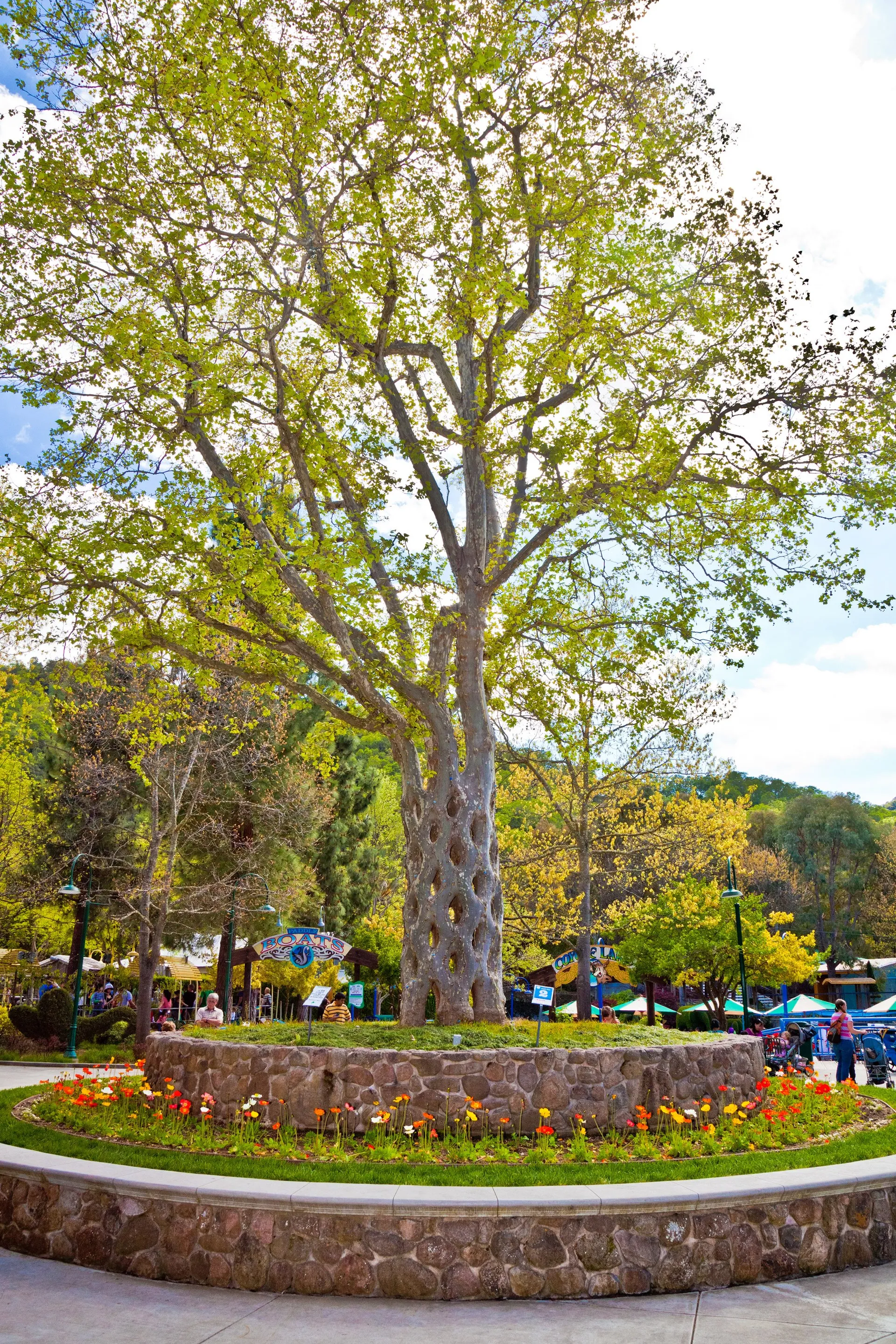 A decorative basket tree at the park.