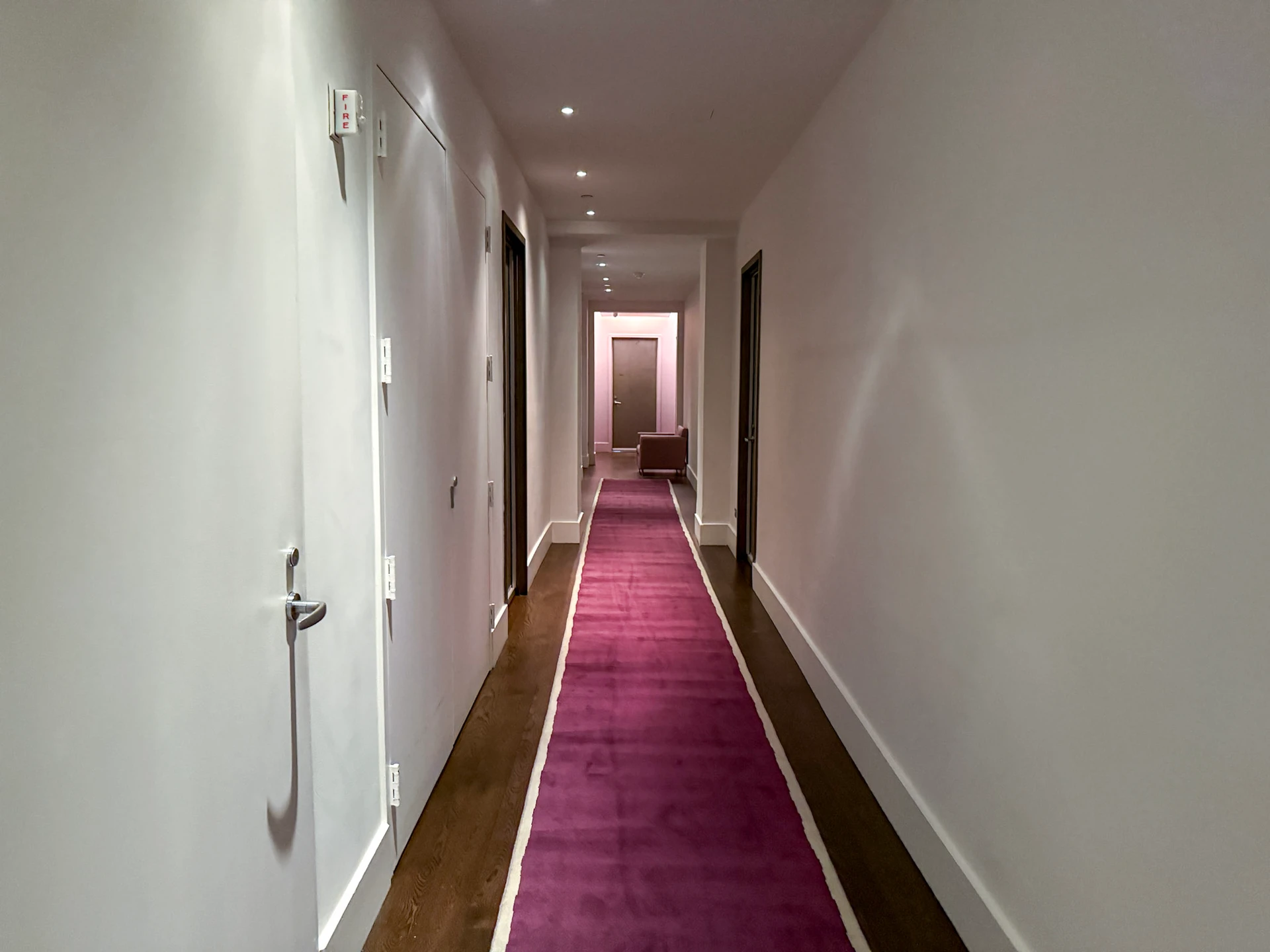 Sleek hallway with purple runner rug between rooms.