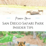 Make the most of your San Diego Zoo Safari Park day with these insider strategies. From discounted tickets to animal encounters and family tips, here’s how to plan a stress-free visit. Advice from a member.