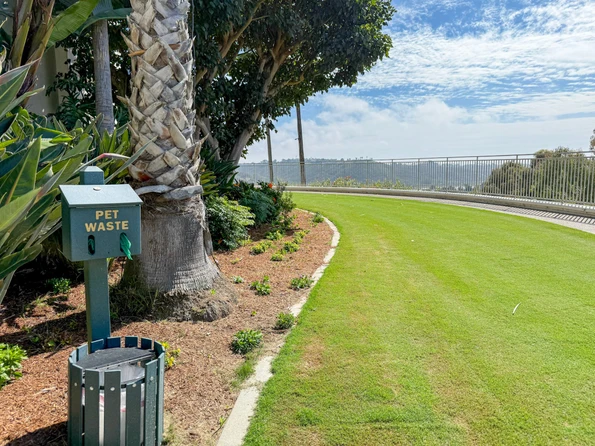 A nice grassy area dogs like (with a dog bag station) at Park Hyatt Aviara.