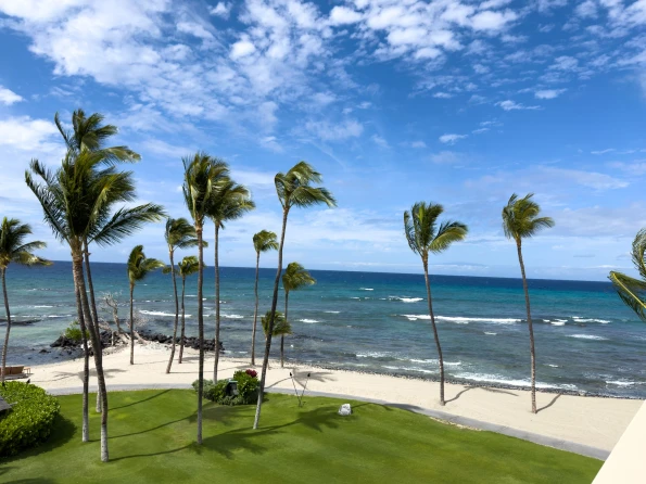 Palm trees sway against the blue sky and ocean view from my room.
