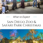 What to expect Jungle Bells and Wild Holidays with verified 2025-26 dates, must-see light shows, and parking info for the San Diego Zoo & Safari Park.