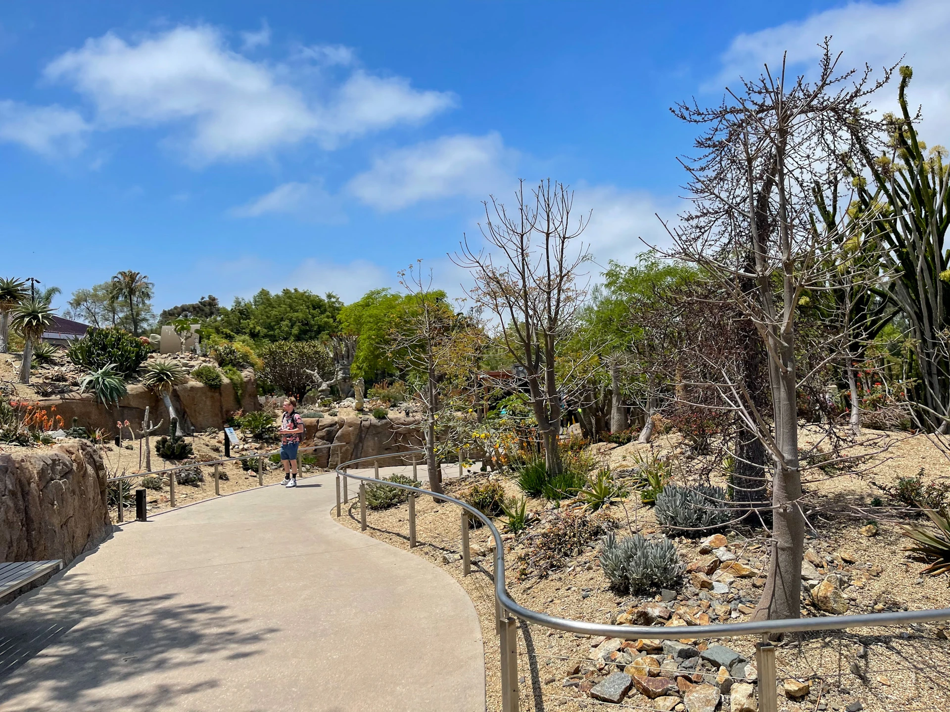 Africa Rocks at San Diego Zoo after June Gloom burns off.