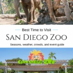 A San Diego local and longtime Zoo member shares the best months, days, and times to visit San Diego Zoo based on decades of experience, plus crowd tips, seasonal events, and weather insights.