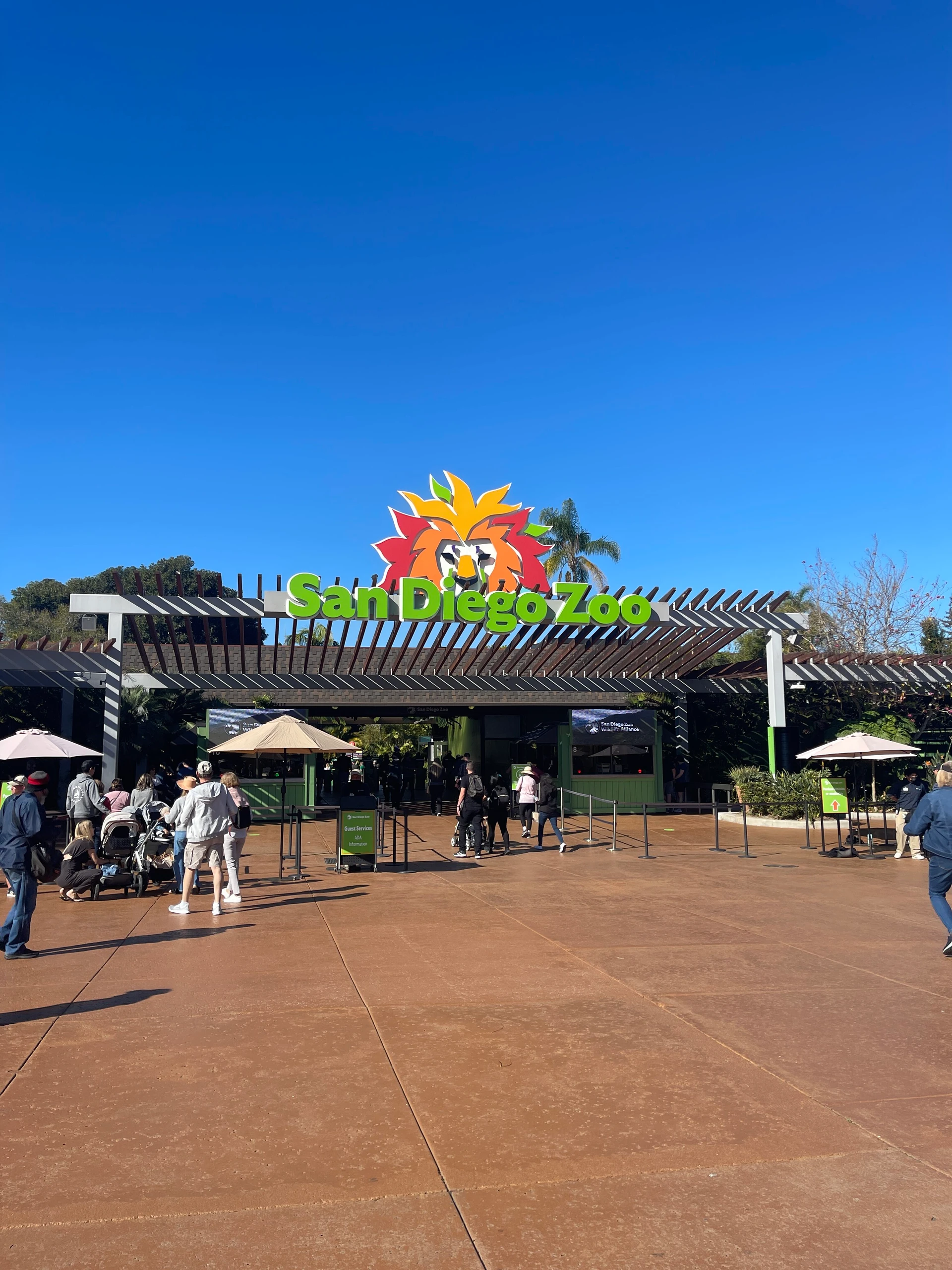 Bright blue skies on a February day at San Diego Zoo. People are wearing layers.