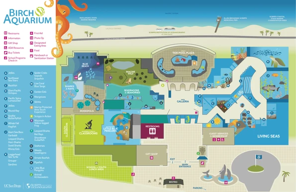 An illustrated map of Birch Aquarium at Scripps in La Jolla