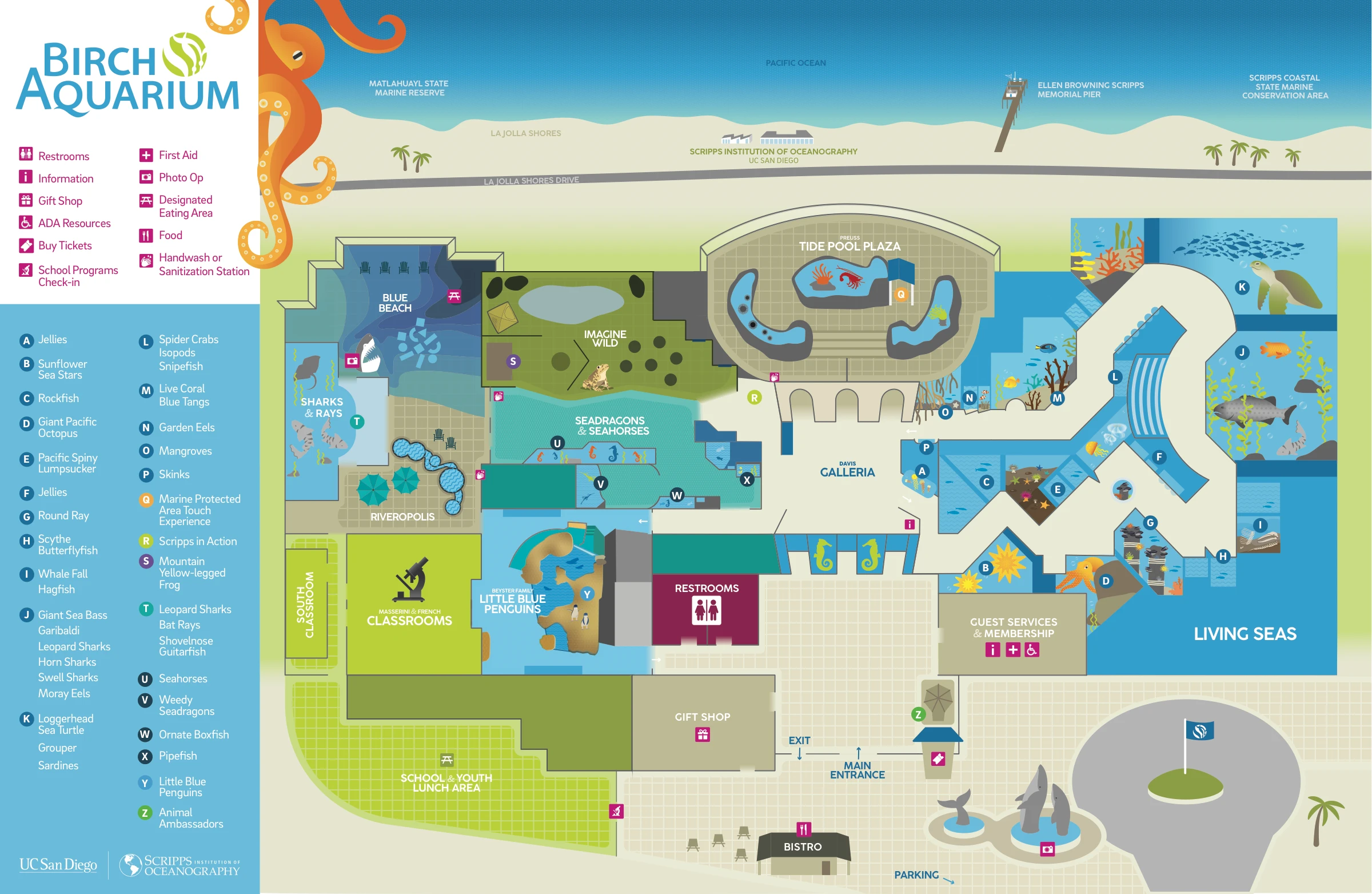 An illustrated map of Birch Aquarium at Scripps in La Jolla