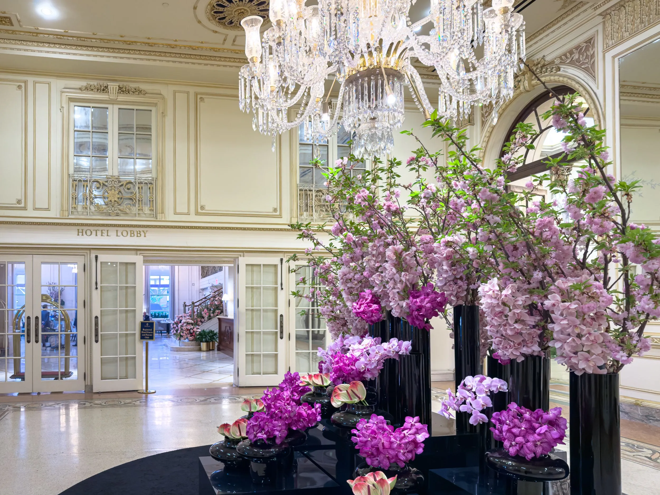 Hotel lobby with crystal chandelier and pink cherry blossom arrangements at The Plaza Hotel New York