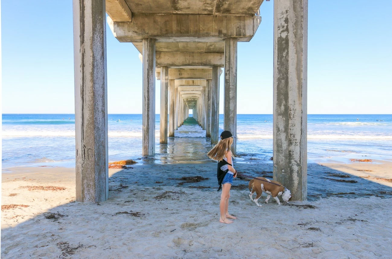 My daughter and dog walk in between the Scripps Pier pylons at La Jolla Shores Beach.