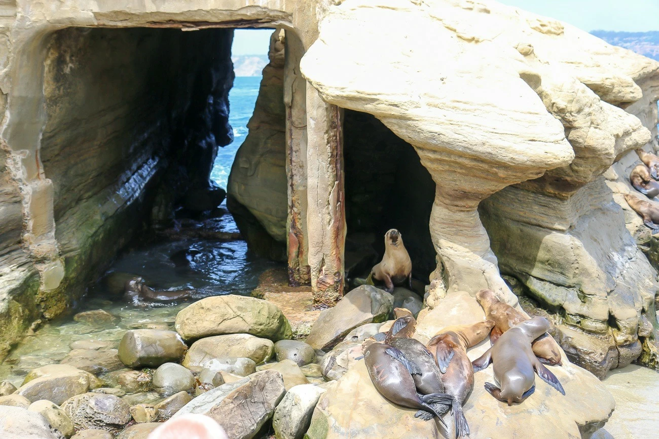 best tide pools 